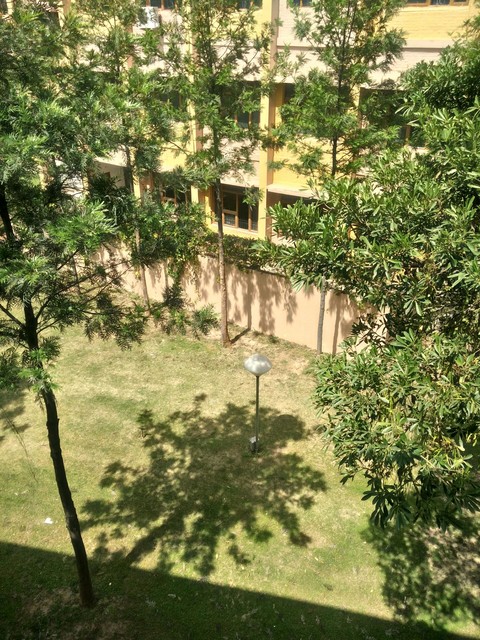 cottage, backyard壁纸