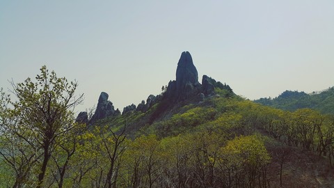 Wild nature