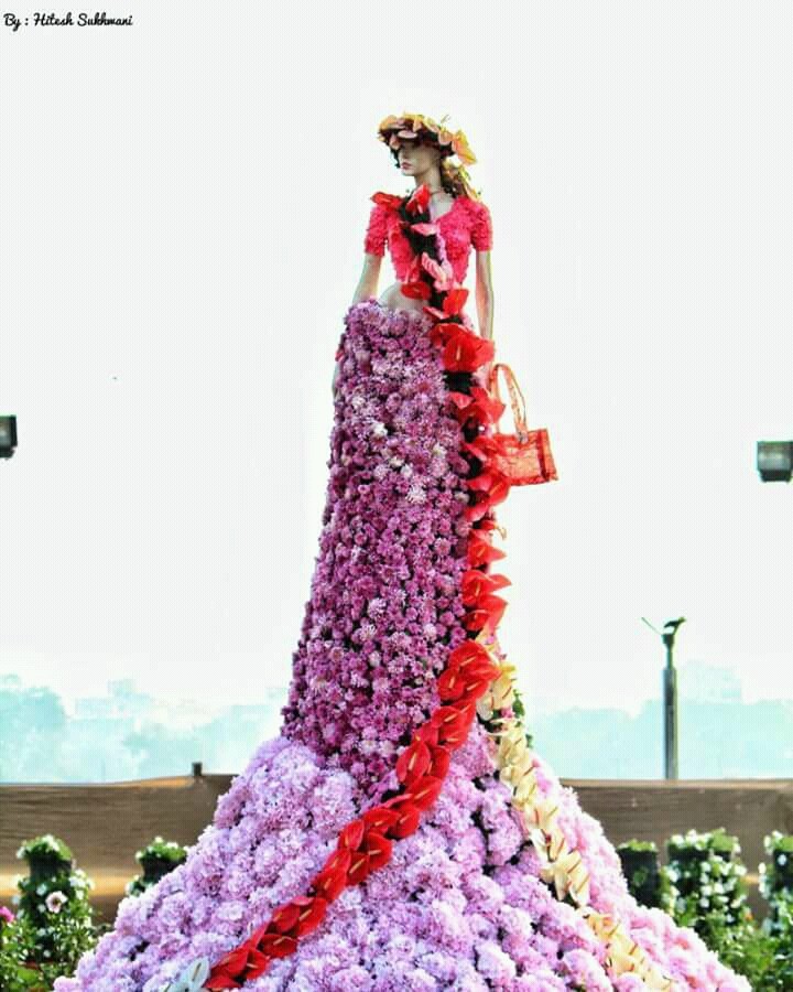Flower show @Ahmedabad, INDIA