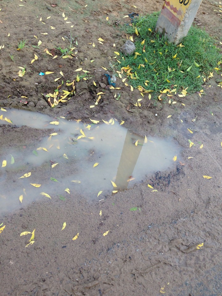 breaking of leaves