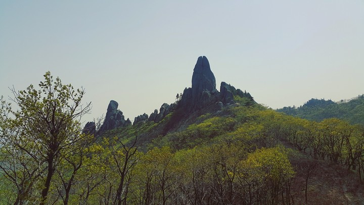 Wild nature