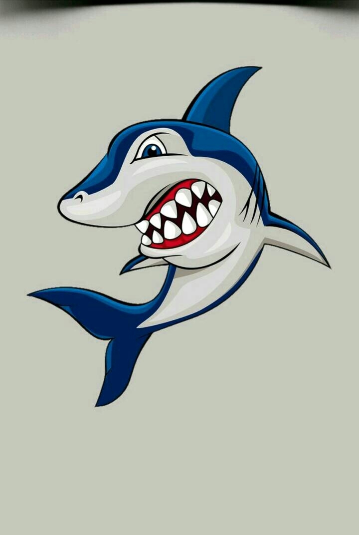 shark