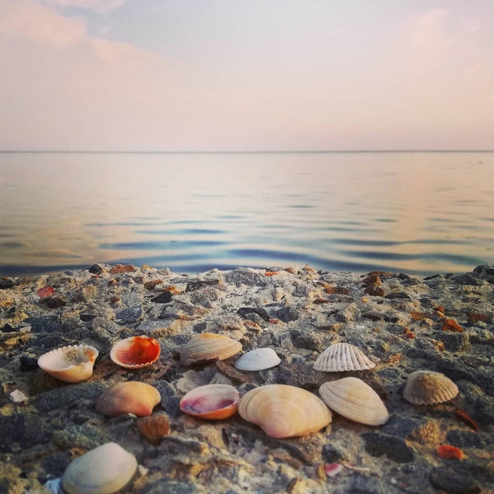 The sea is calling