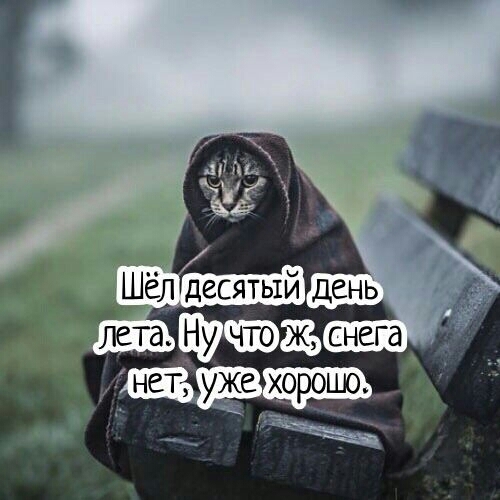 Такое лето?