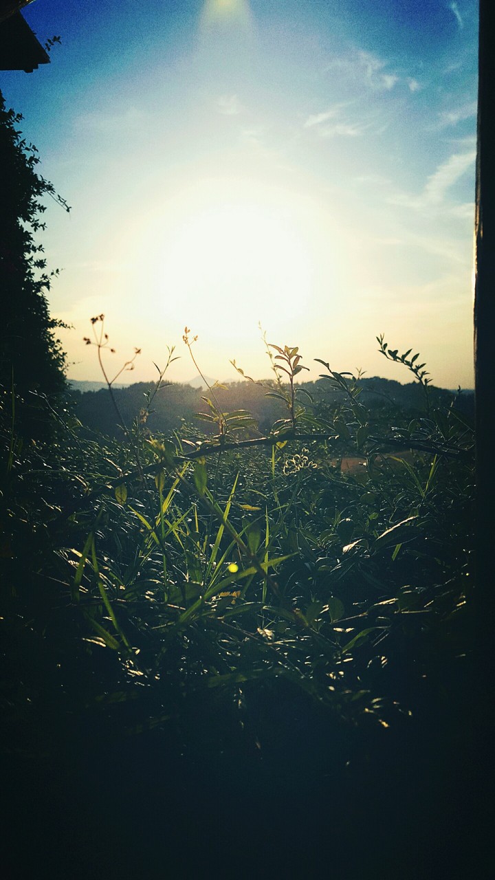 Orizzonte (Horizon), Italy - Cesena