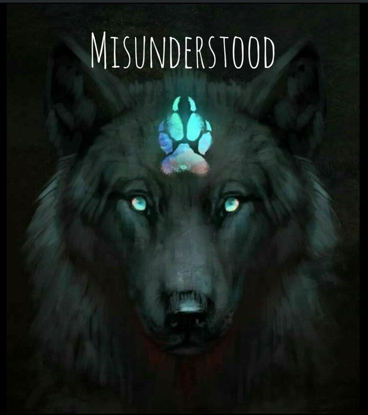 misunderstood