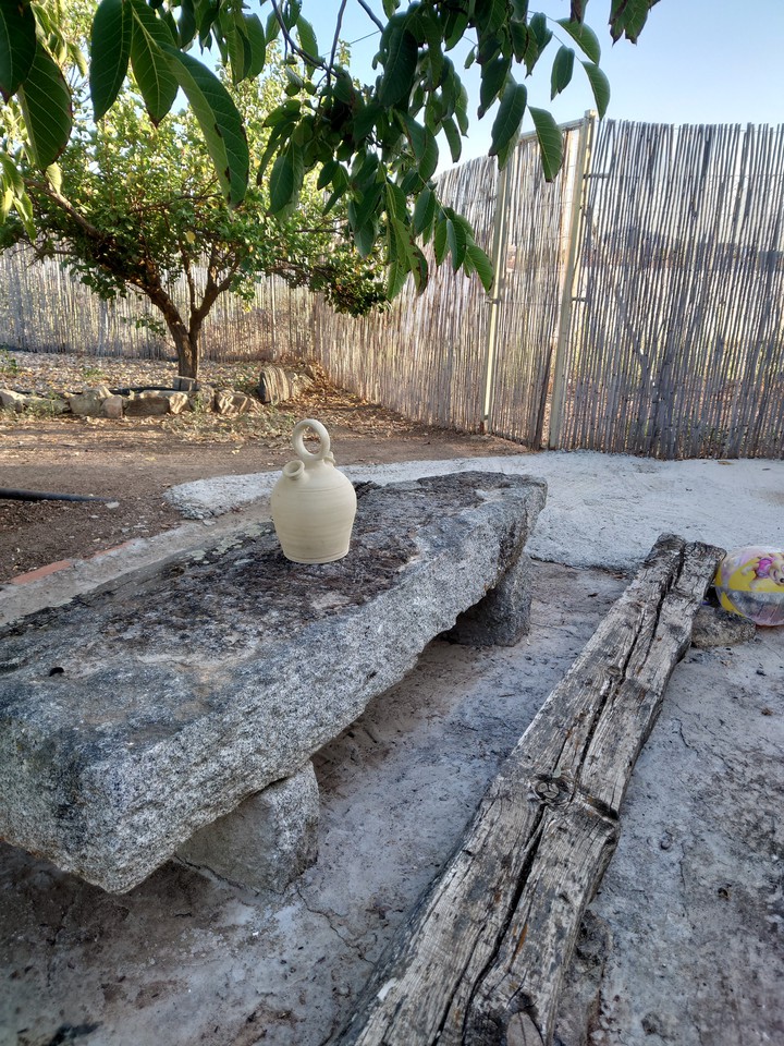 Día de Campo
