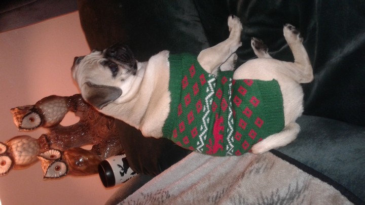 Perry Christmas