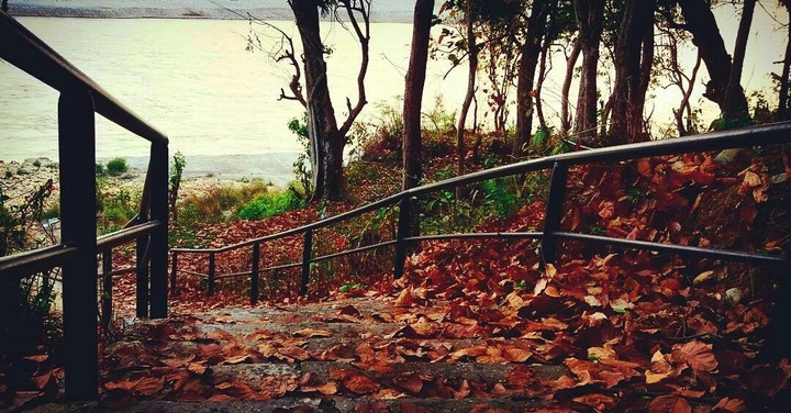FALL