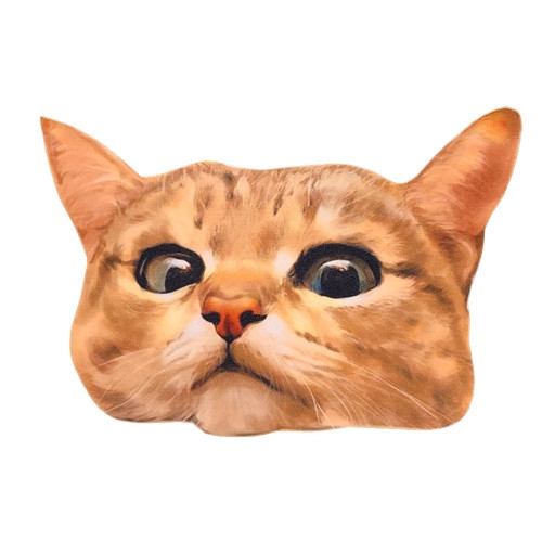 cat illustration