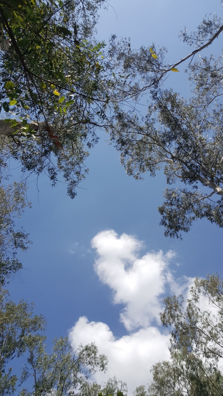 sky