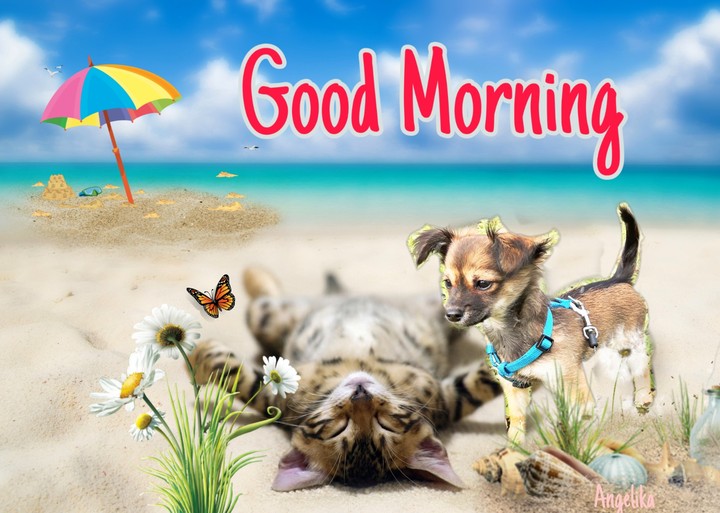 good Morning my friend
