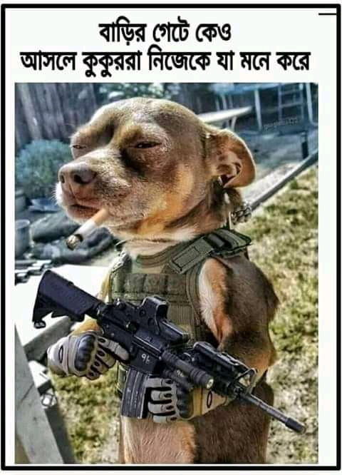 funny
