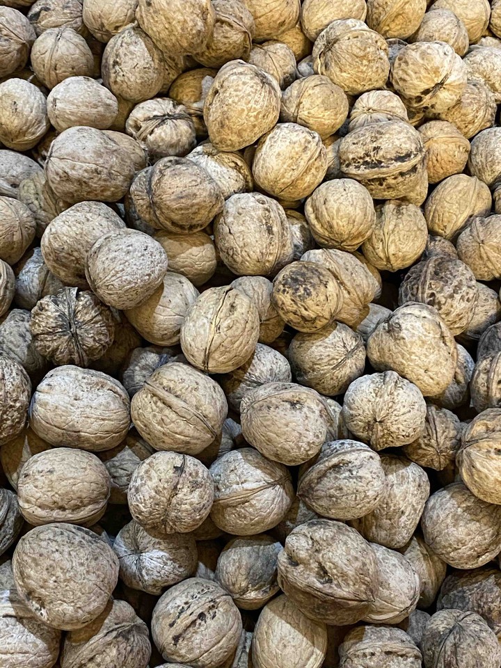 walnut