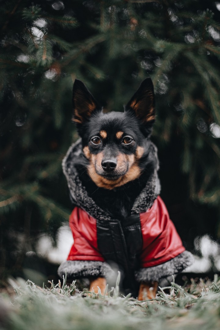 it's cold outside