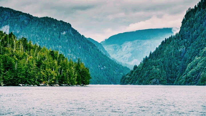 Lago