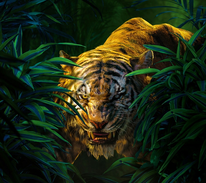 Sher khan The Tiger