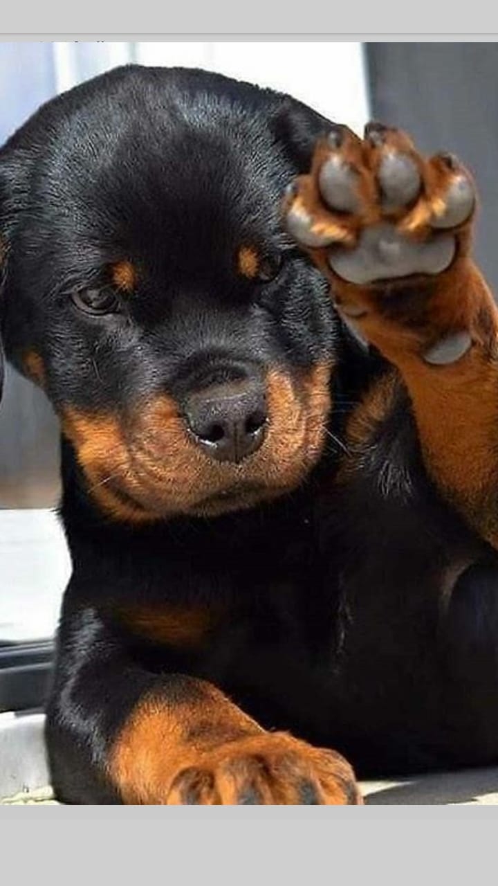 ❤❤?