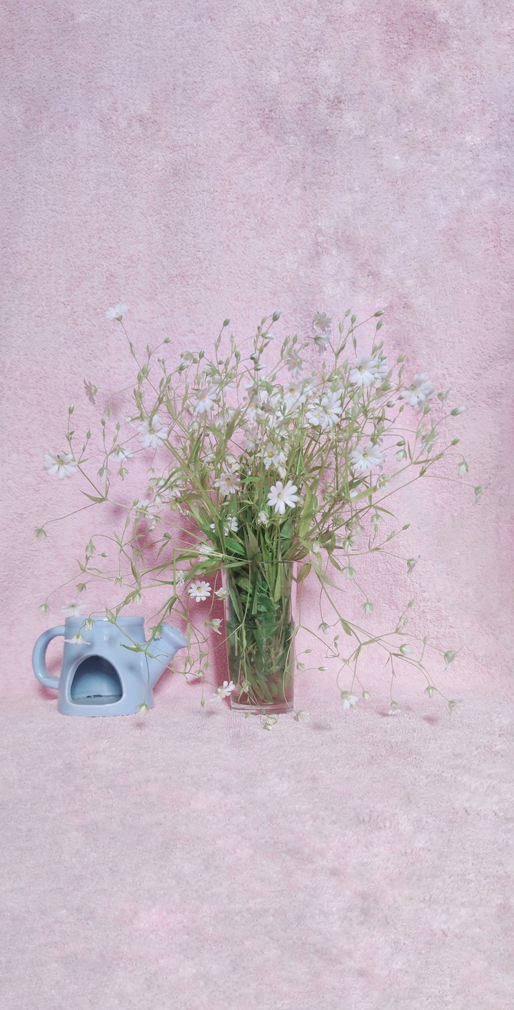 Pink and flowers