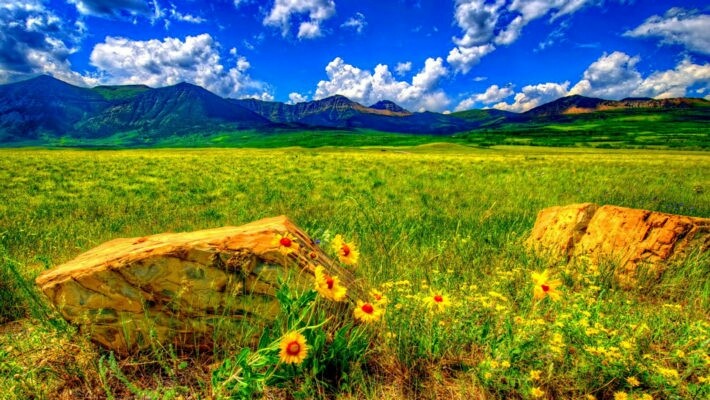 Nature beauty