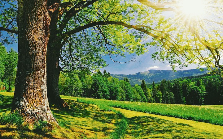 Nature