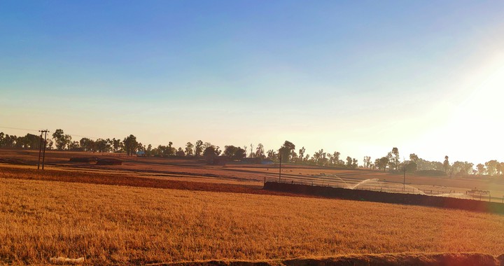 village fields