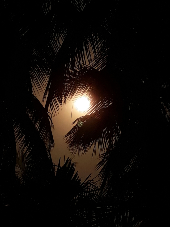 sun