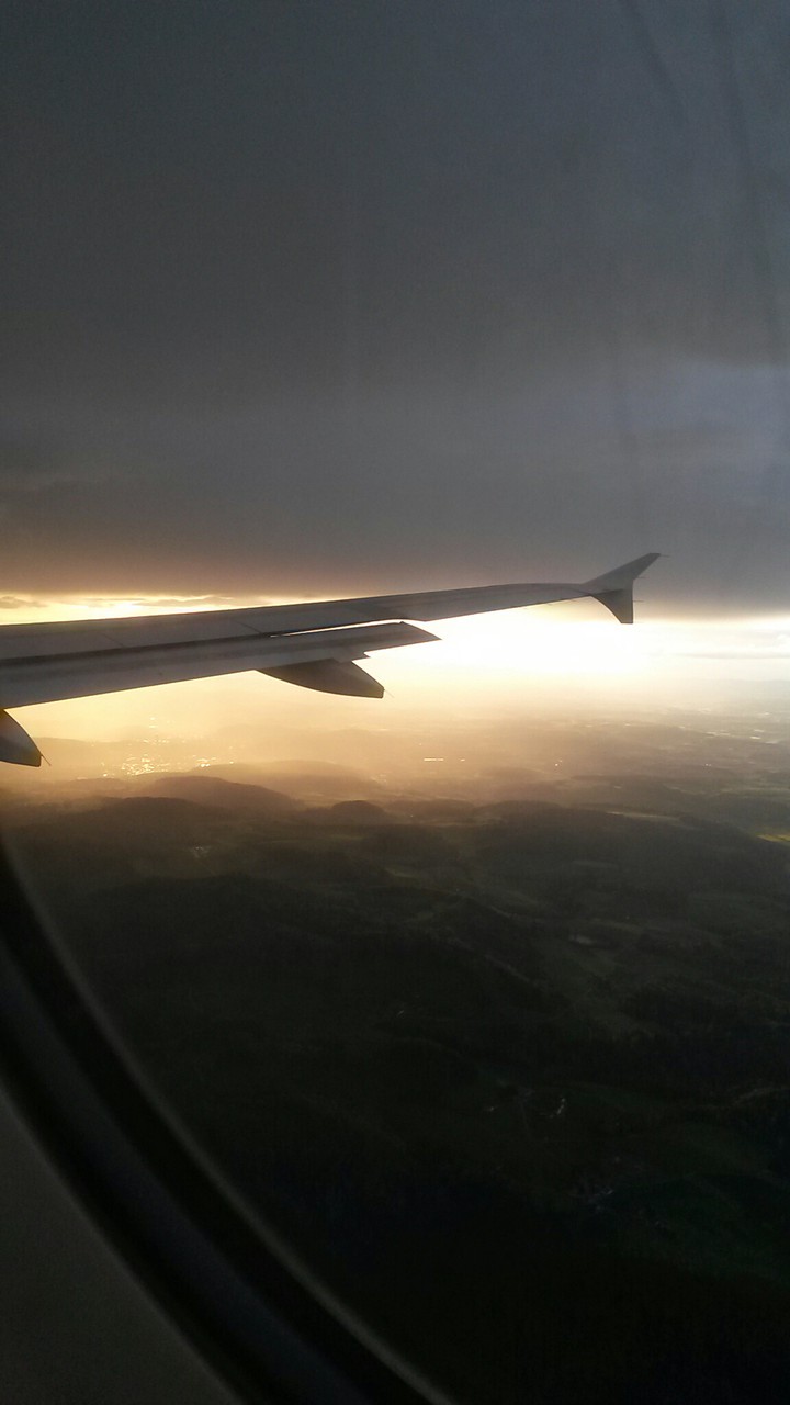 Fly