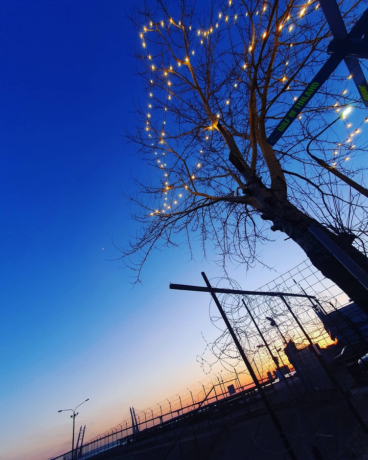 lights