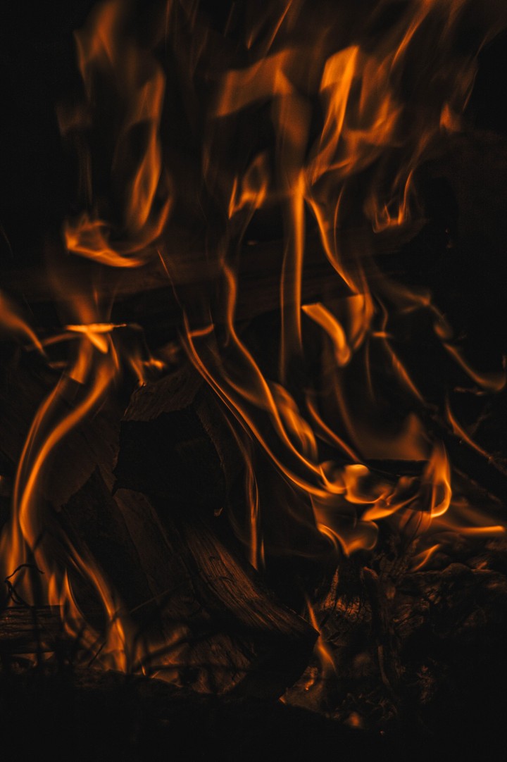 81