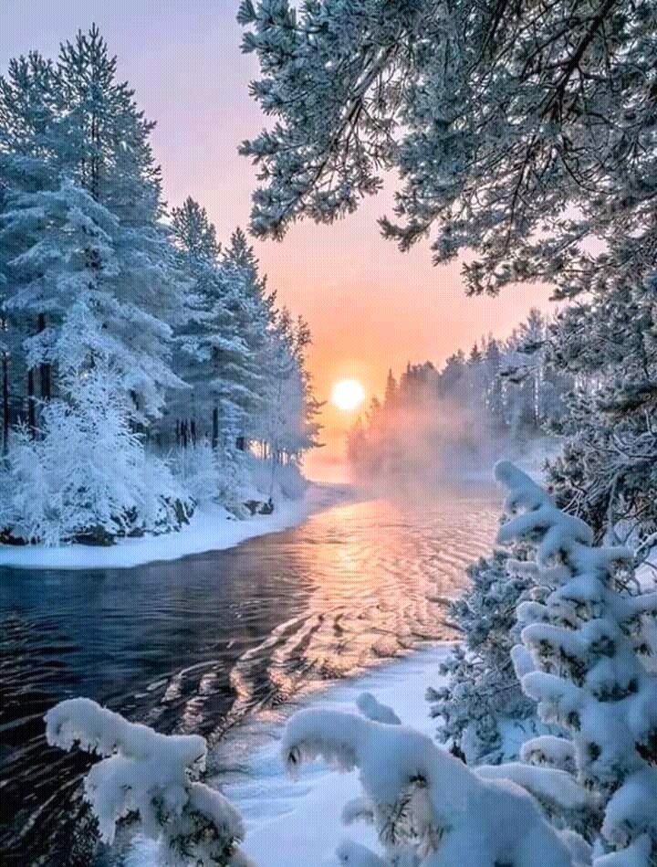 White,, 