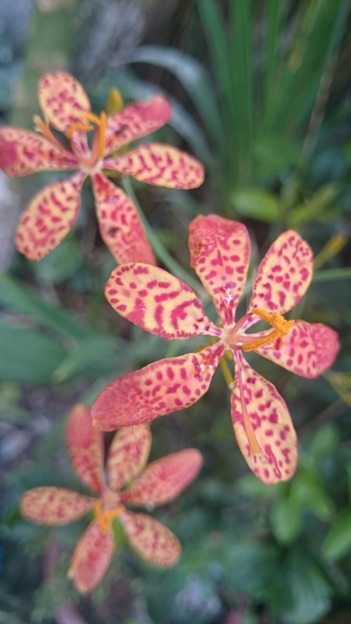 p-10