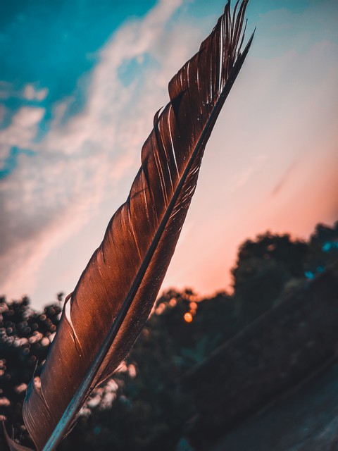 Feather