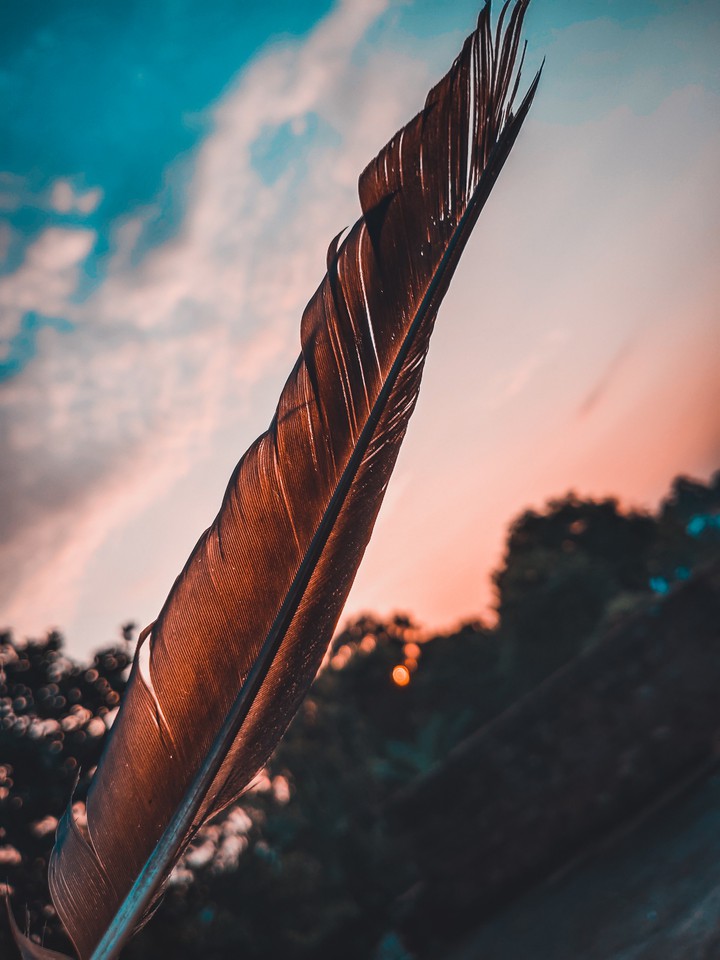 Feather