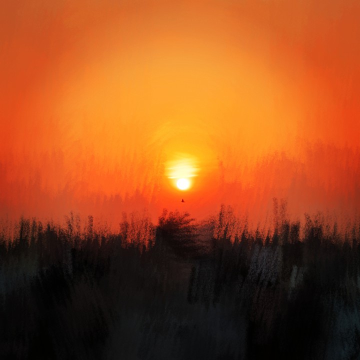 sunset