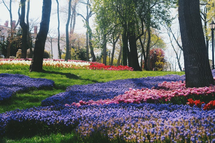 Emirgan