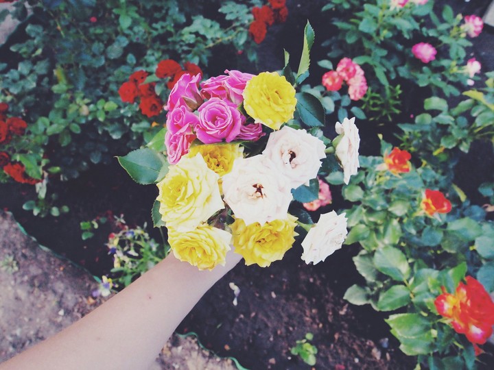 many colors