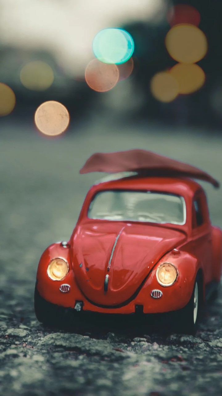 Little Beetle