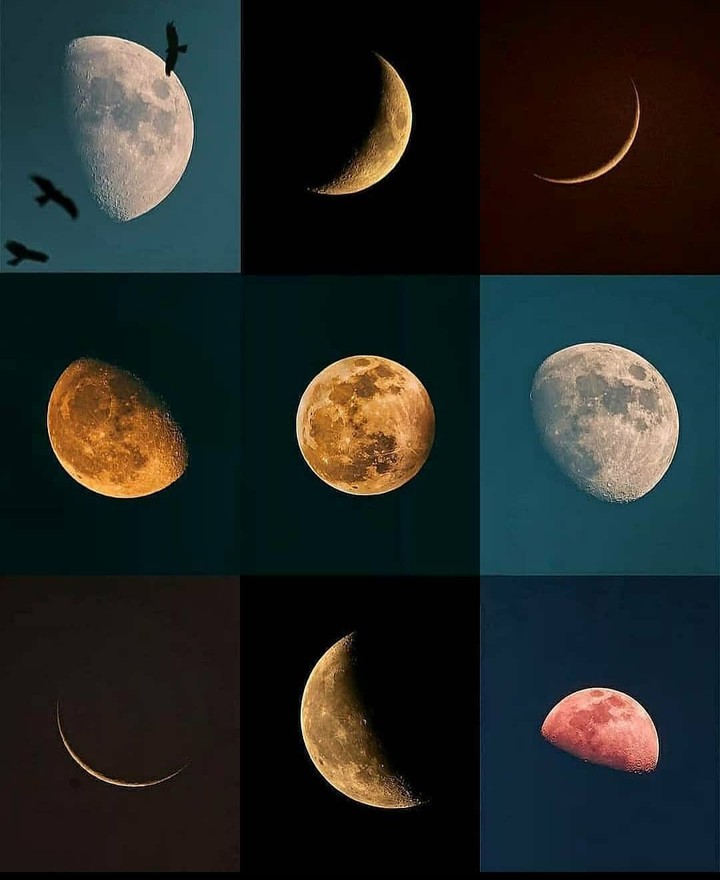 lua❤️?