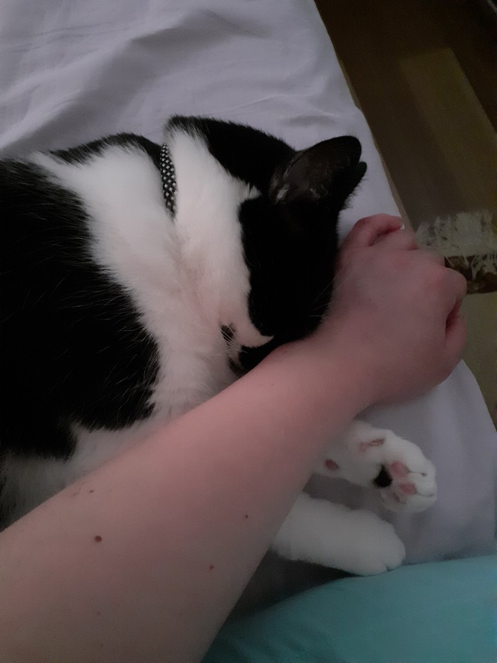 cuddle