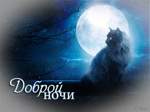 приятных сновидений!