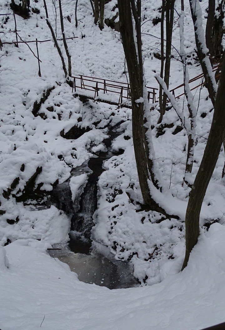 Vırşes Bulgaria