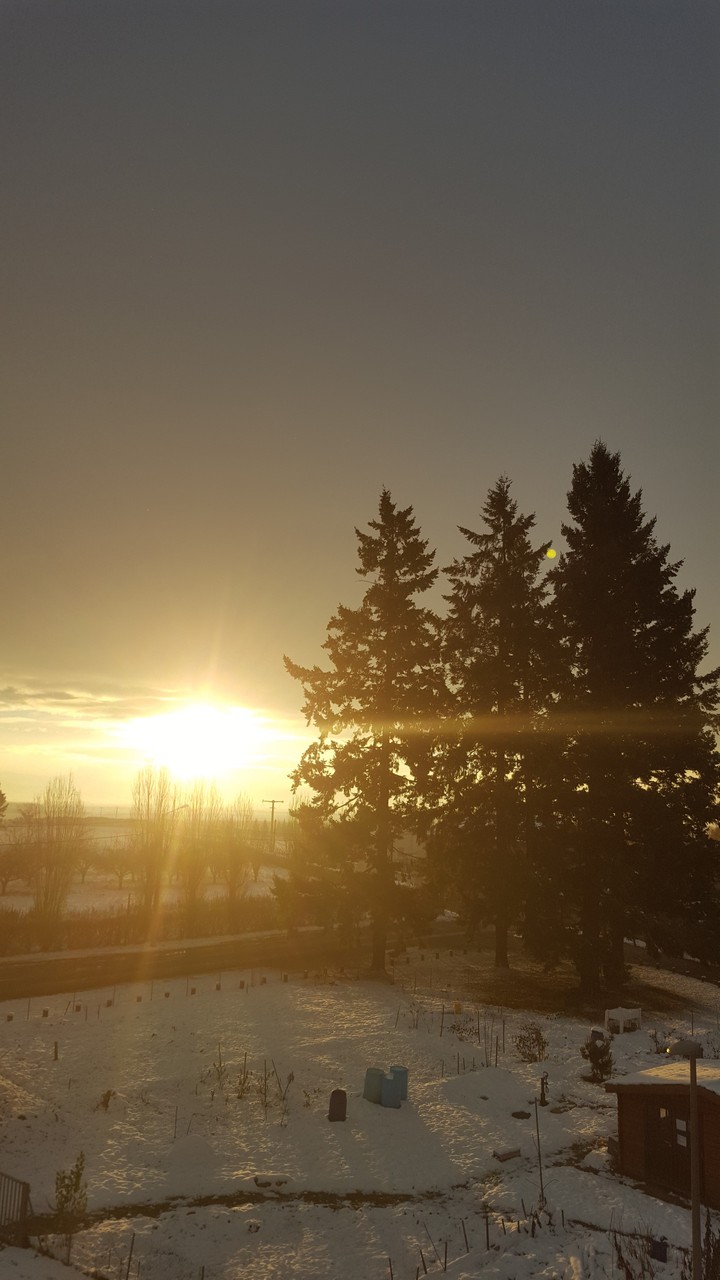Sunshine 