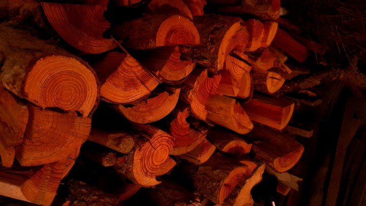 firewood