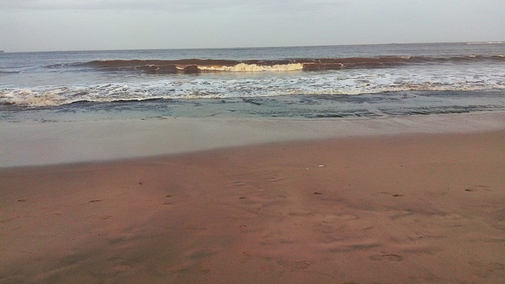 seashore