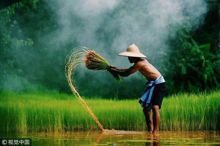 farmer