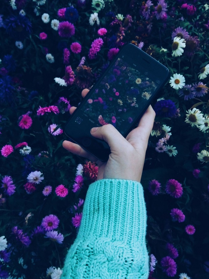 flowers