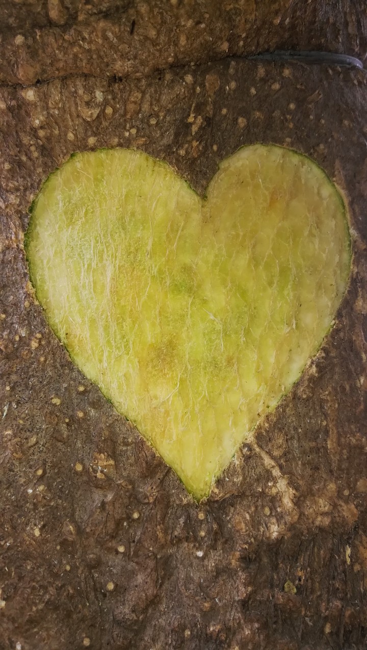 heart
