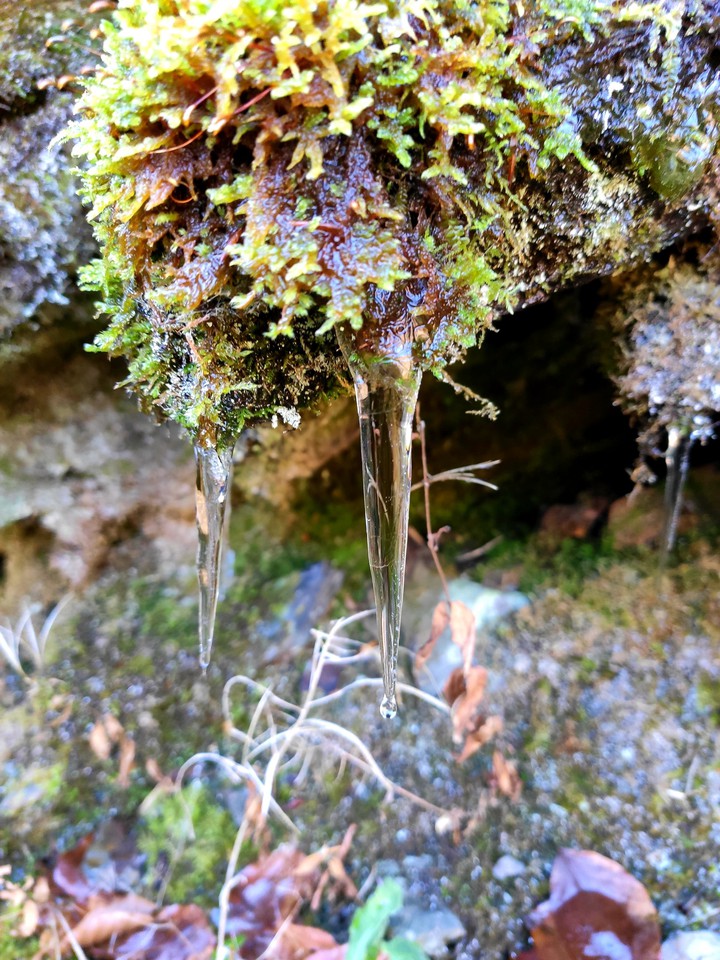 Freeze