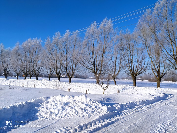 winter